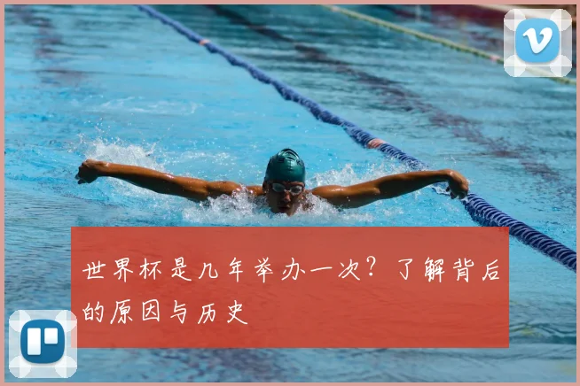 世界杯是几年举办一次？了解背后的原因与历史